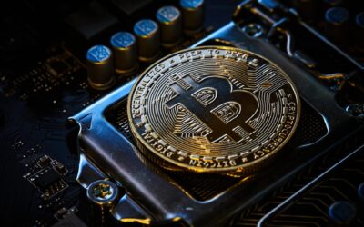 Learn About Bitcoin with the Hayek Group | Community Education Series